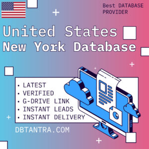 🗽🇺🇸 New York Business Database